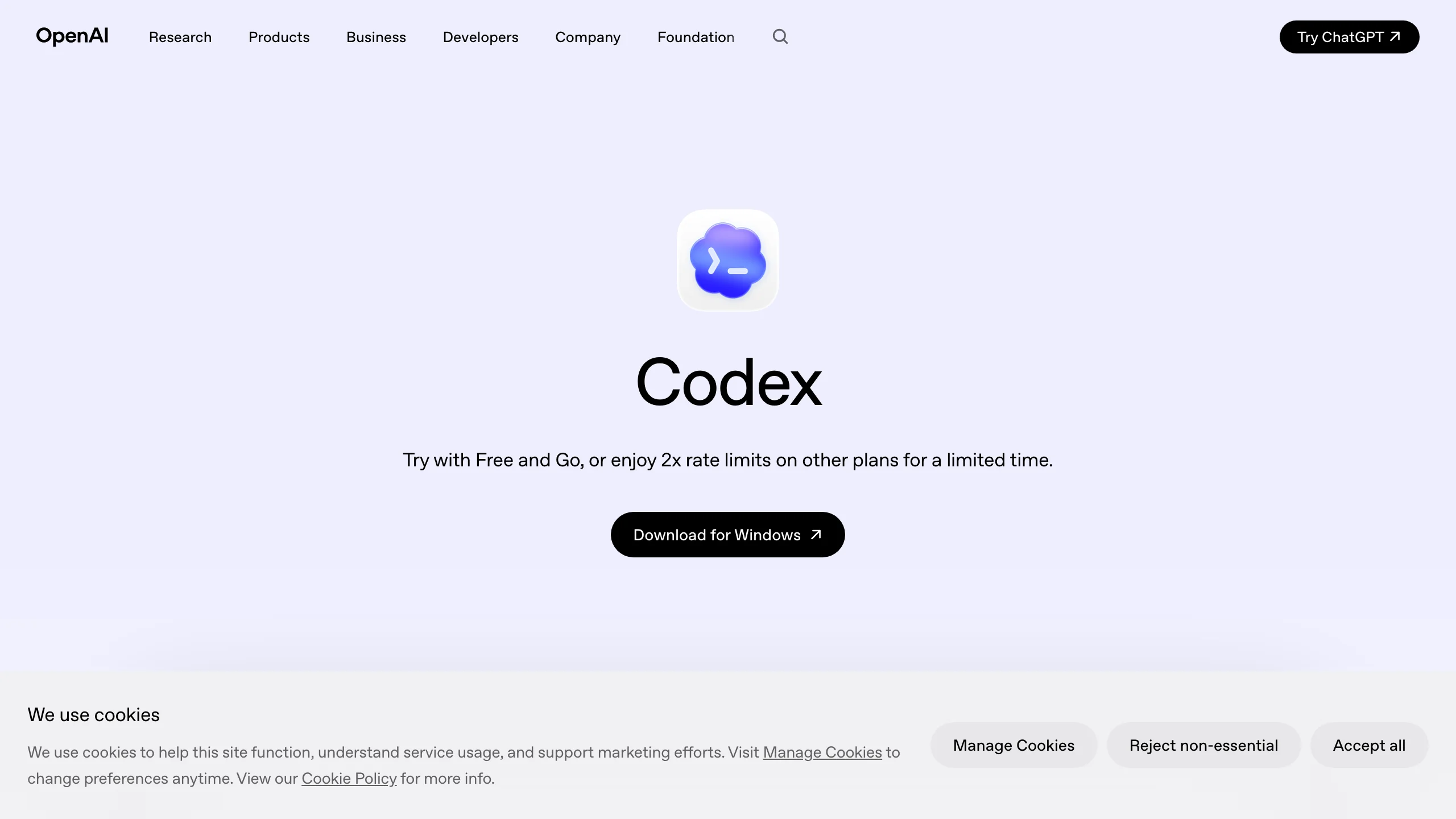 OpenAI Codex のトップ部分